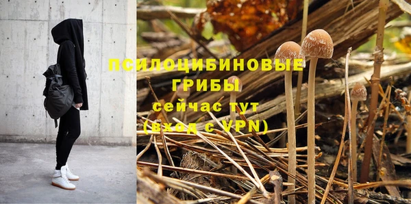 a pvp Надым