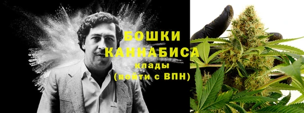 гидра Наволоки