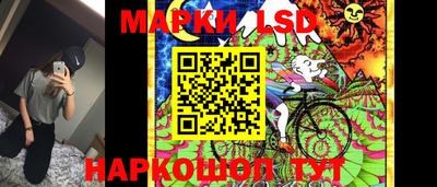 молекула духа Камышлов