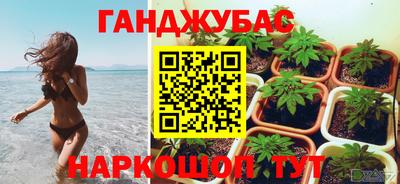молекула духа Камышлов