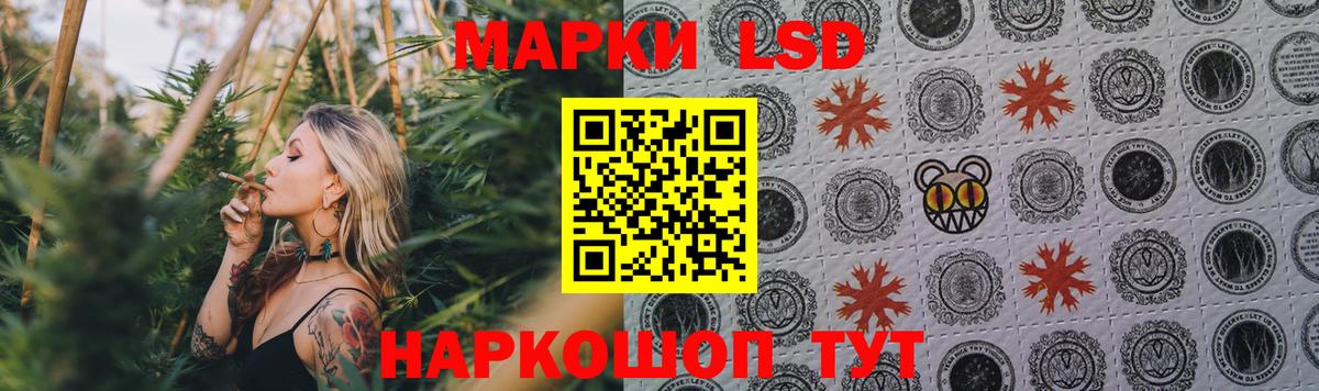 ЛСД экстази ecstasy  Вход с VPN  Новодвинск 