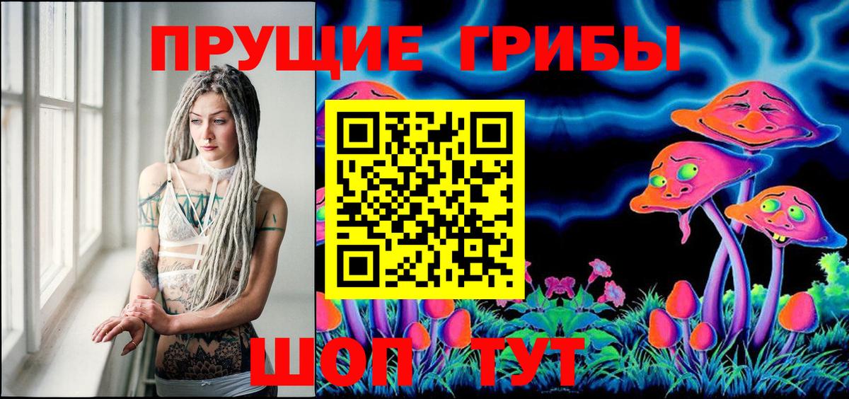 Конопля Новодвинск