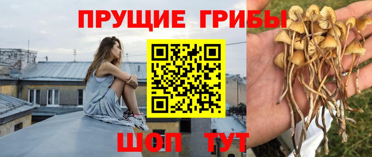 Галлюциногенные грибы мицелий Новодвинск