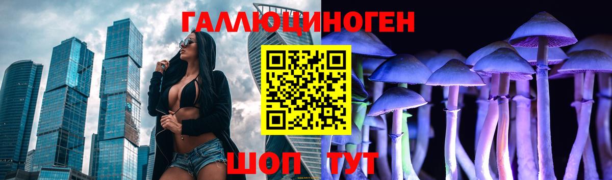 Новодвинск  Псилоцибиновые грибы мицелий  Вход с VPN 